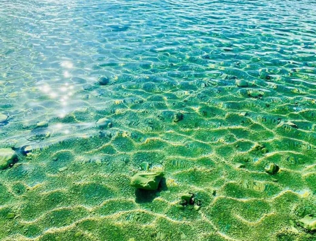 Mobil homes Kamp Maslina, Biograd n/m Biograd Na Moru Bagian luar foto