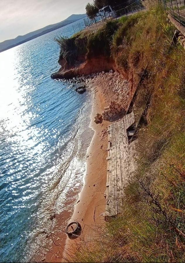 Mobil homes Kamp Maslina, Biograd n/m Biograd Na Moru Bagian luar foto