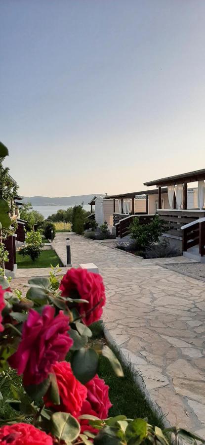 Mobil homes Kamp Maslina, Biograd n/m Biograd Na Moru Bagian luar foto