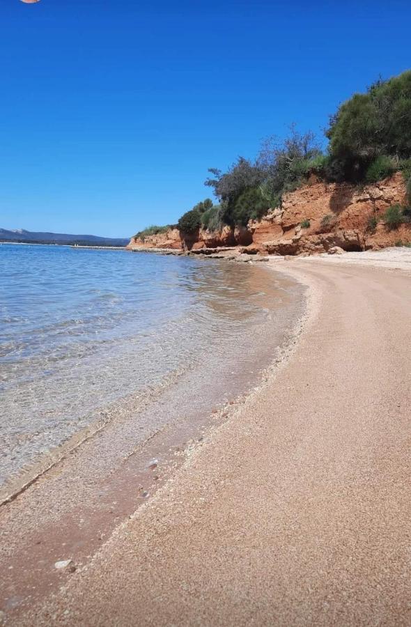 Mobil homes Kamp Maslina, Biograd n/m Biograd Na Moru Bagian luar foto