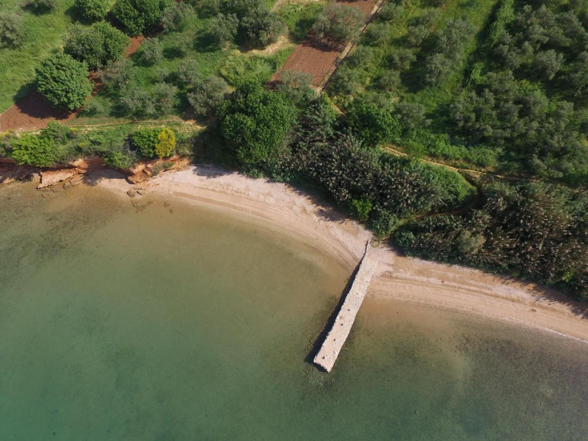 Mobil homes Kamp Maslina, Biograd n/m Biograd Na Moru Bagian luar foto